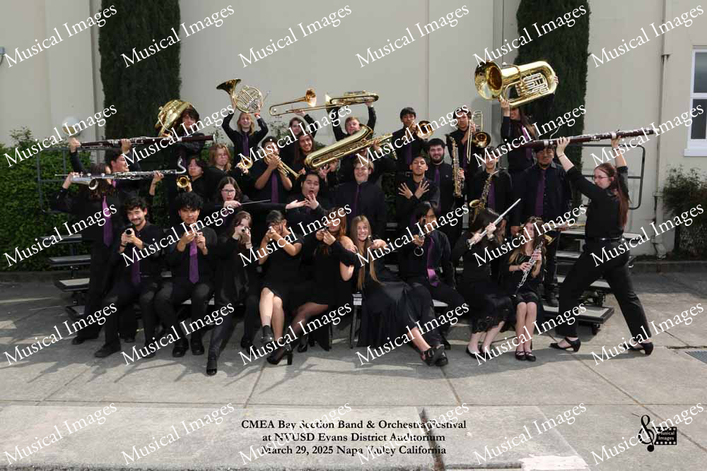 Musical Images